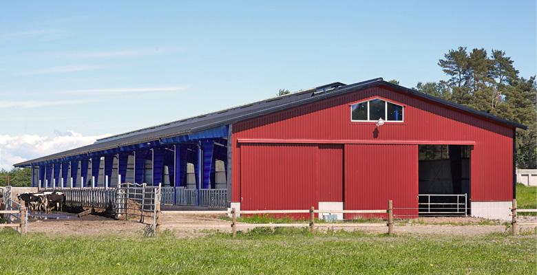 Agricultural buildings, cowsheds, machine halls made of steel | BORGA